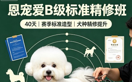 恩宠爱B级标准精修班