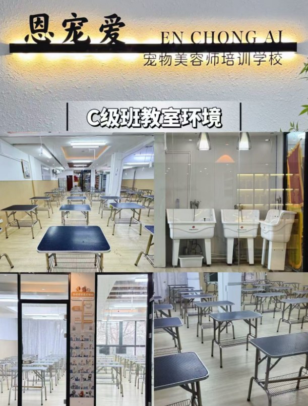 恩宠爱C+B+A级专业班