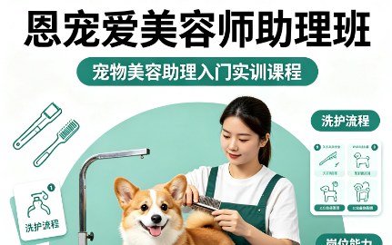 恩宠爱美容师助理班