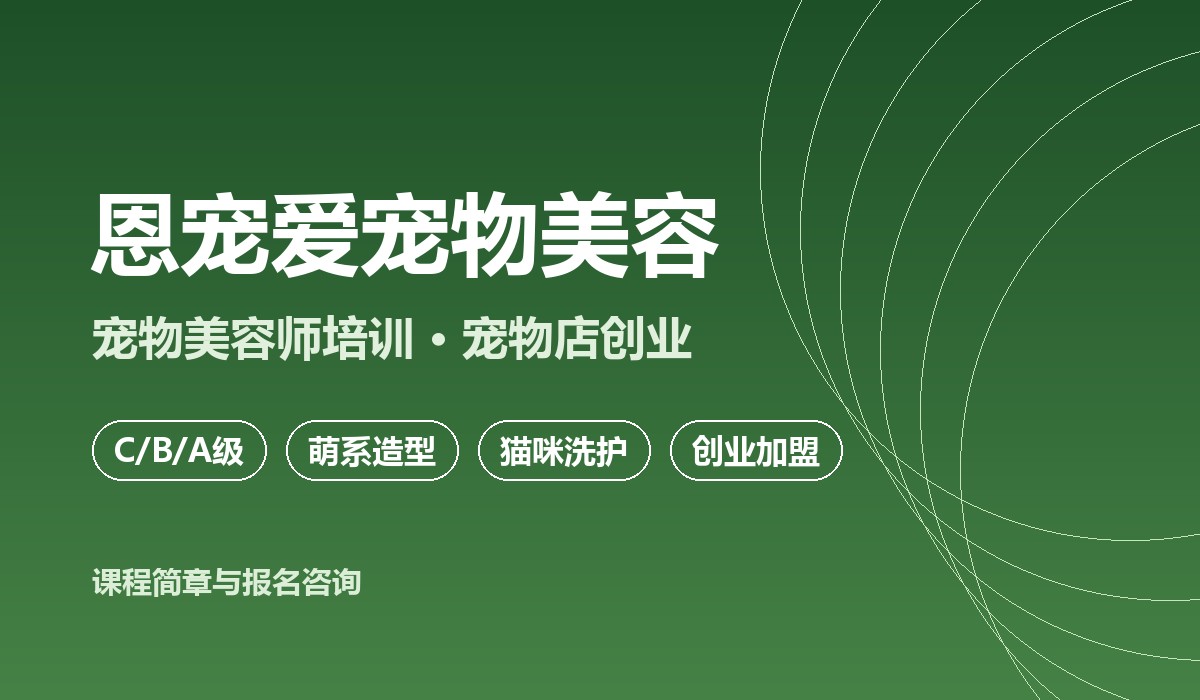 恩宠爱宠物美容课堂实景