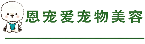 恩宠爱宠物美容