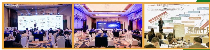 高顿咨询2025领象计划