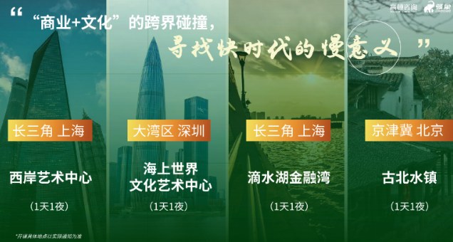 高顿咨询2025领象计划