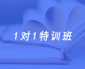 1对1特训班