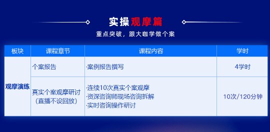 心理咨询师线上临床实践项目