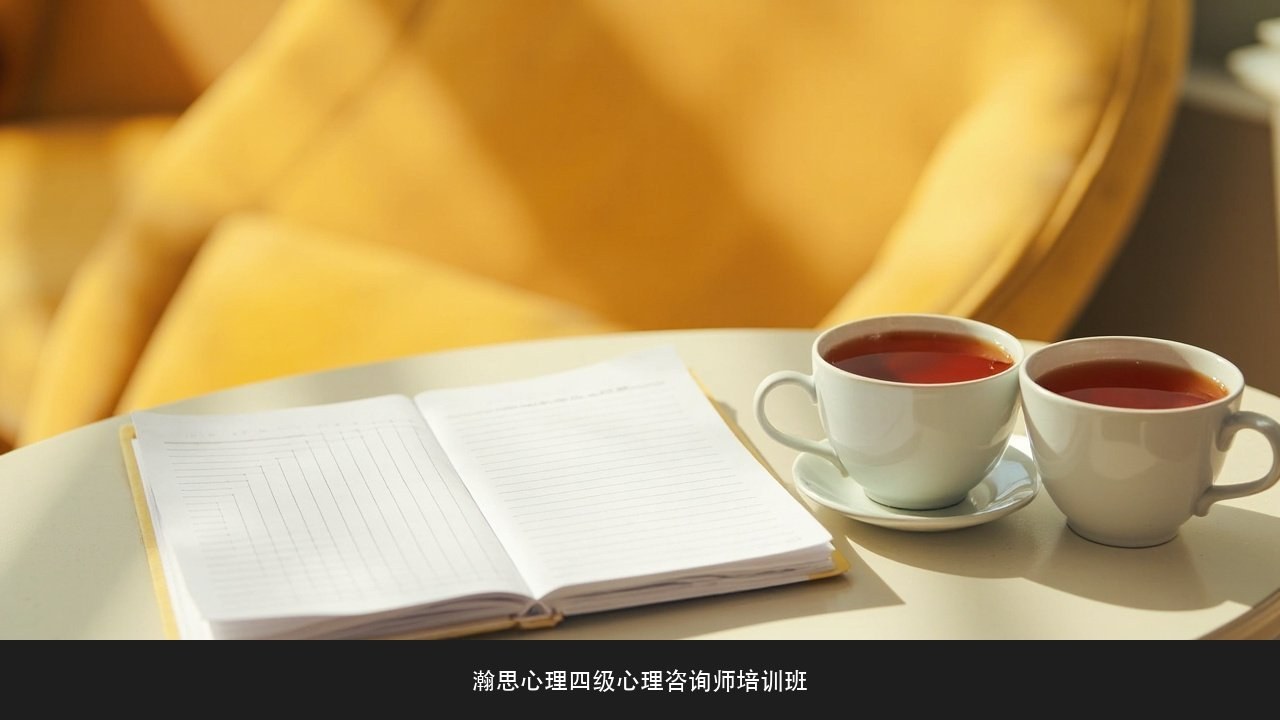 心理咨询师该不该给来访者建议?瀚思心理四级心理咨询师培训班专业分寸课题