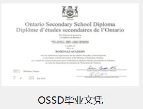 环球教育OSSD课程