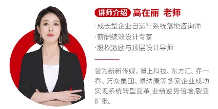 高在丽企业自运行系统——薪酬绩效与年度战略规划