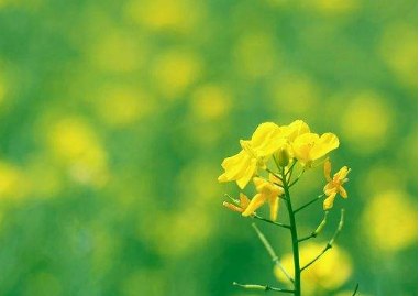 读中国医疗器械产业战略管理研修班要准备什么资料呢?