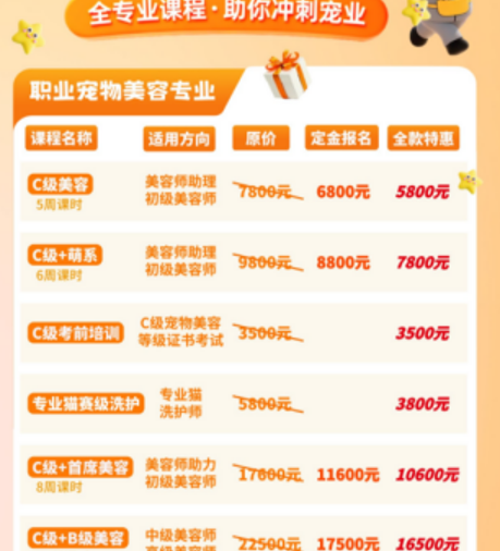 派多格职业宠物美容专业课程