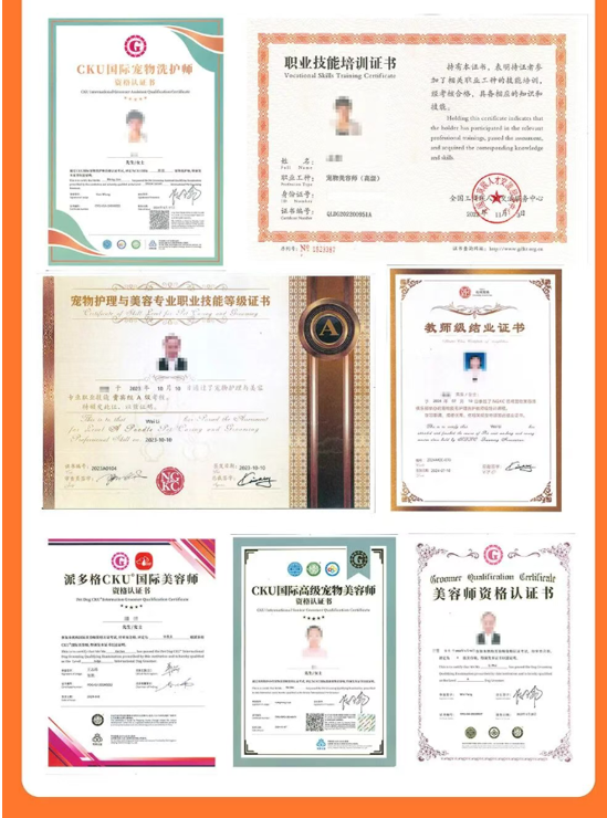 派多格职业宠物营养专业课程