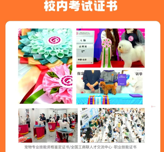 派多格职业宠物营养专业课程