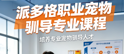 派多格职业宠物驯导专业课程