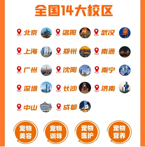 派多格职业宠物营养专业课程