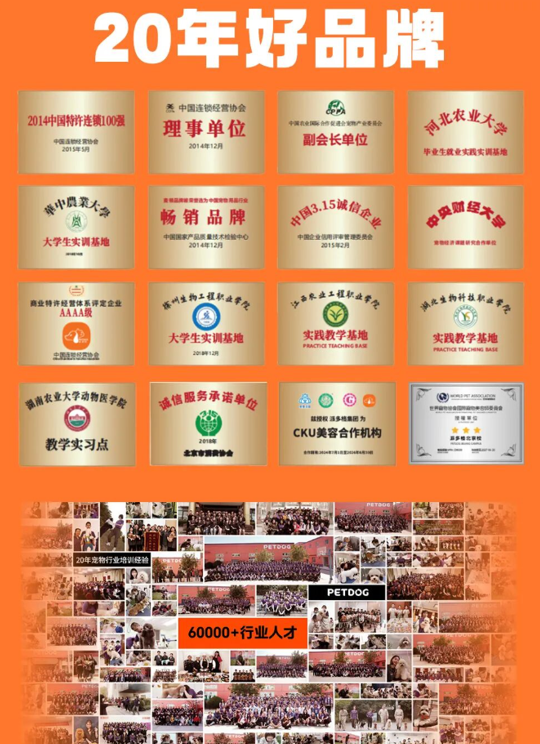 派多格职业宠物营养专业课程