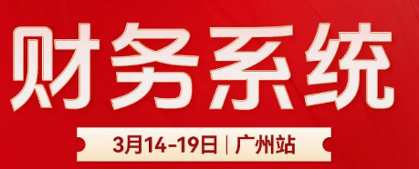 长财咨询刘国东《财务系统》大课