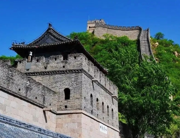 长城将帅夏令营