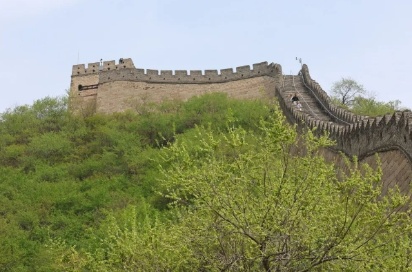 长城将帅夏令营