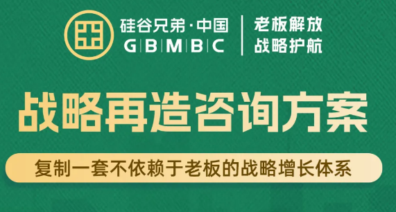 孙正玮—战略再造方案班