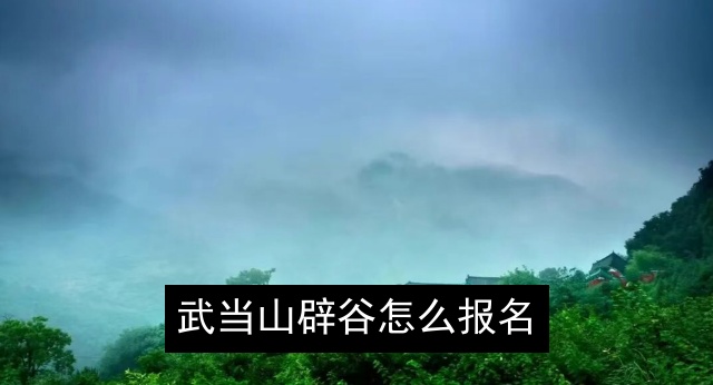 武当山辟谷怎么报名