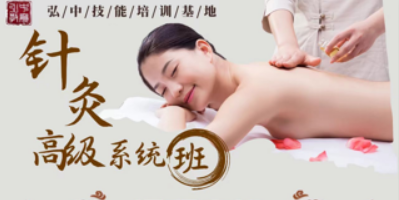 中医针灸推拿高级系统培训班