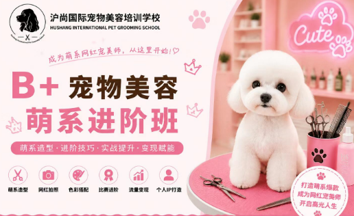 沪尚B+萌系进阶班课程