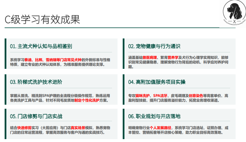 沪尚新手入门班课程