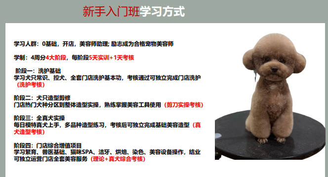 沪尚新手入门班课程