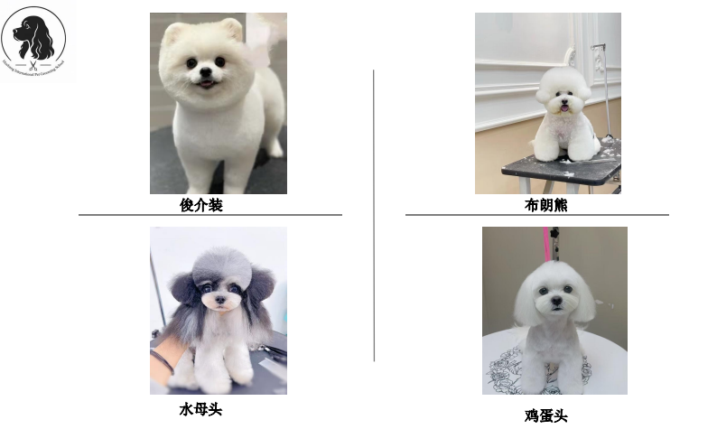 沪尚B+萌系进阶班课程