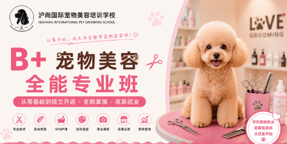 沪尚B+全能专业班课程