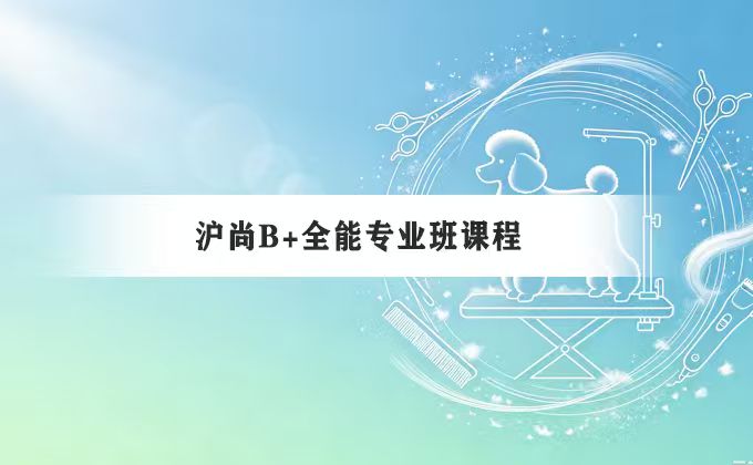 宠物美容课程示意图