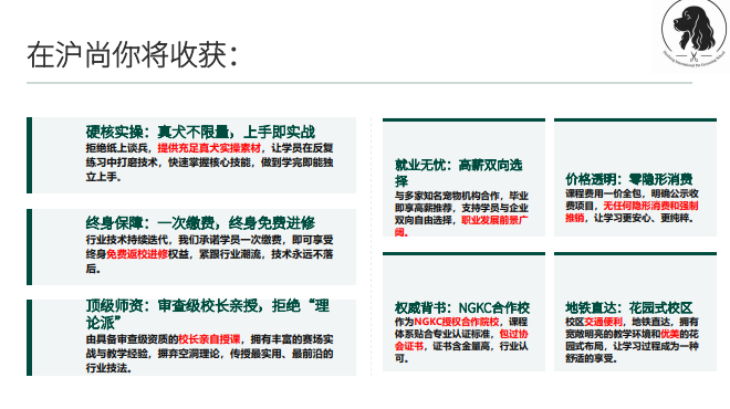 沪尚B级萌系基础班课程