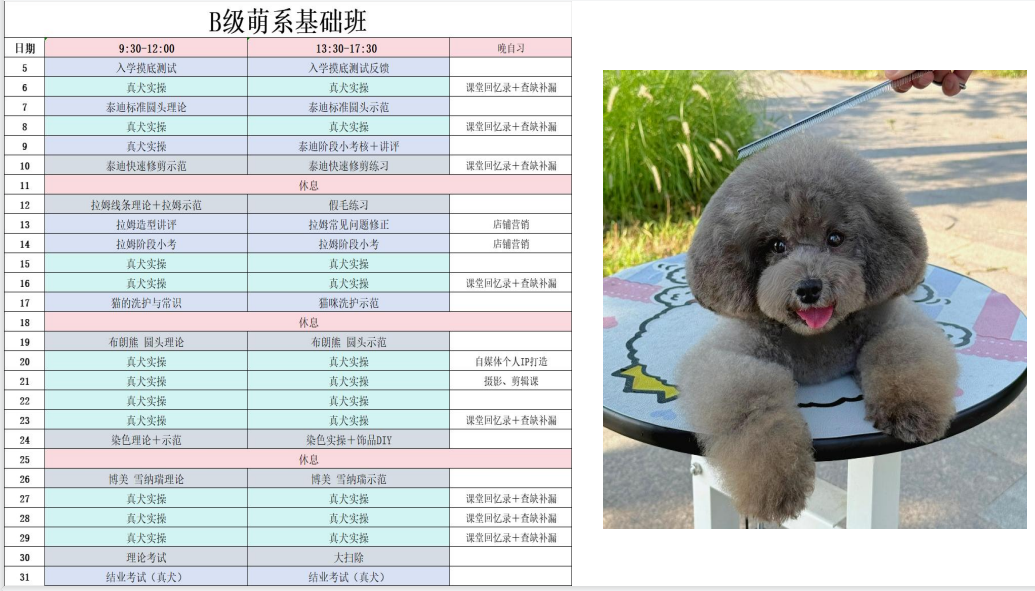沪尚B级萌系基础班课程