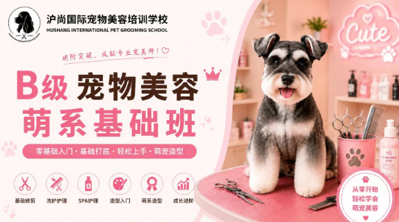 沪尚B级萌系基础班课程