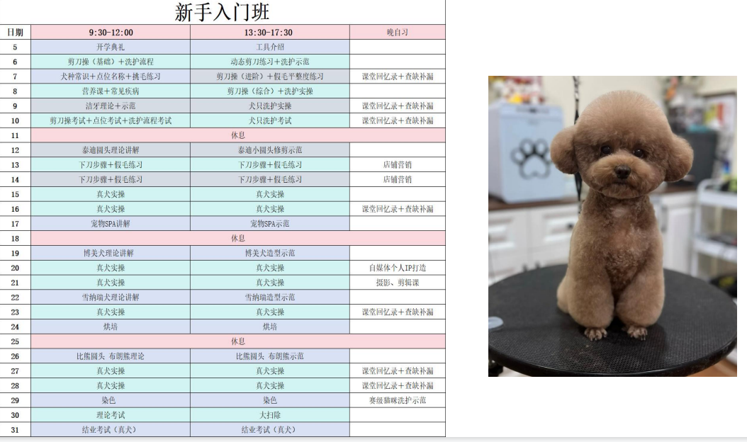 沪尚新手入门班课程