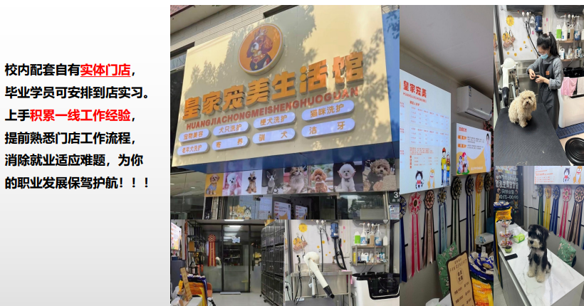 沪尚B级萌系基础班课程