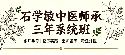 石学敏中医师承三年系统班