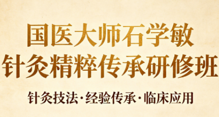 国医大师石学敏针灸精粹传承研修班