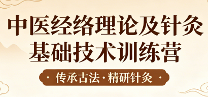 中医经络理论及针灸基础技术训练营