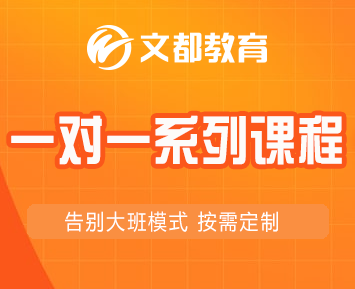 文都考研一对一系列课程