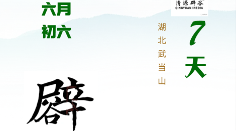 武当清源7天辟谷营