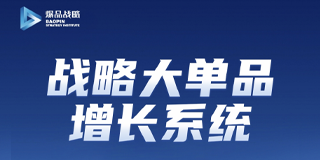金错刀战略大单品增长系统班