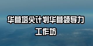 华营塔尖计划华营领导力工作坊