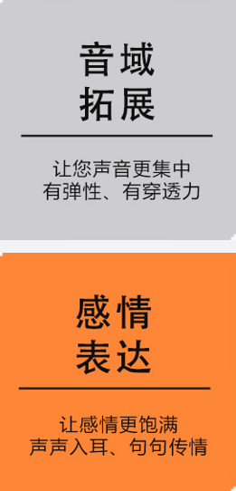魅力发声培训
