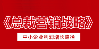 龙行营销《总裁营销战略》