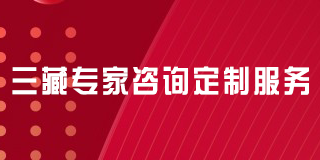 三藏专家咨询定制服务