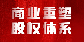 商业重塑*股权体系工具班
