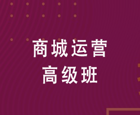 商城运营高级班