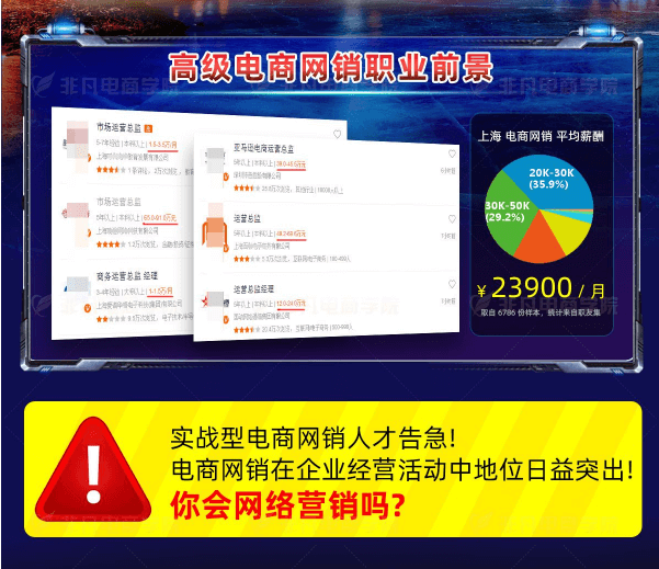 高级电商网销就业班