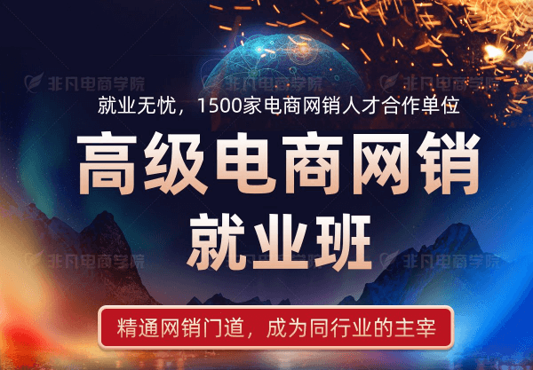 高级电商网销就业班